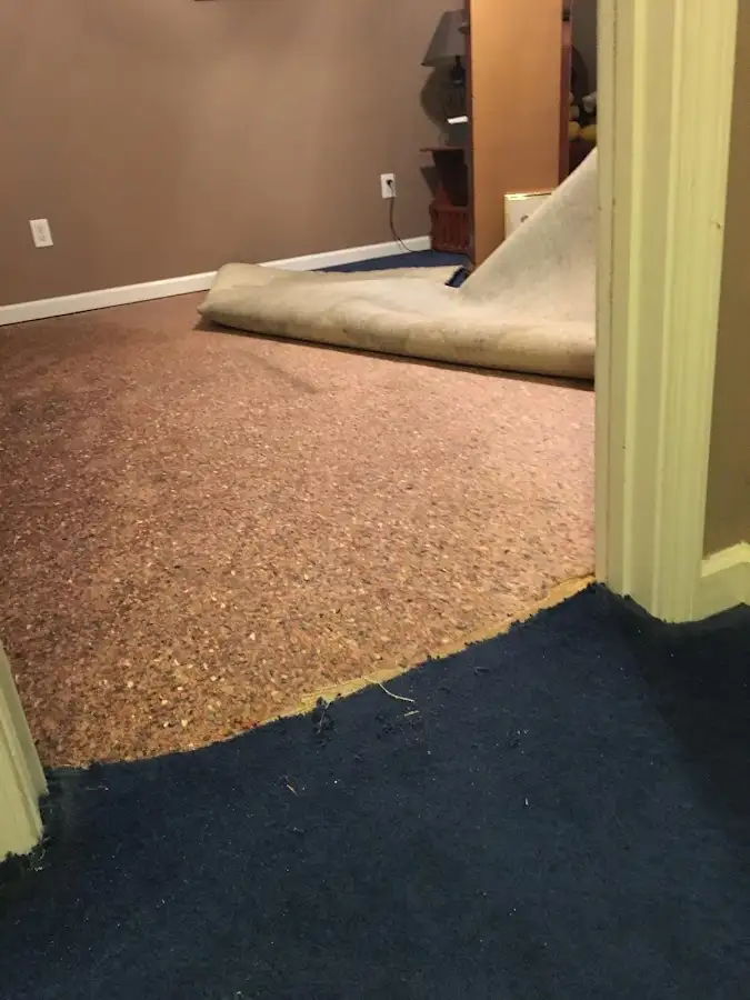 Carpet pad removal revealing water damage during Drying & Dehumidification in Stanwood