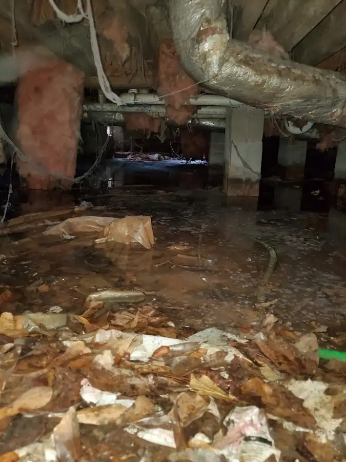 Crawl space flood assessment for Leak Detection & Repair in Stanwood